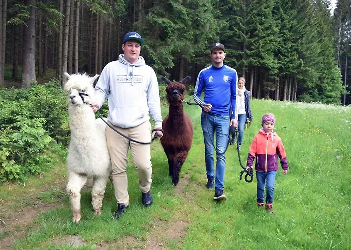 Sternhof * Bodenmais