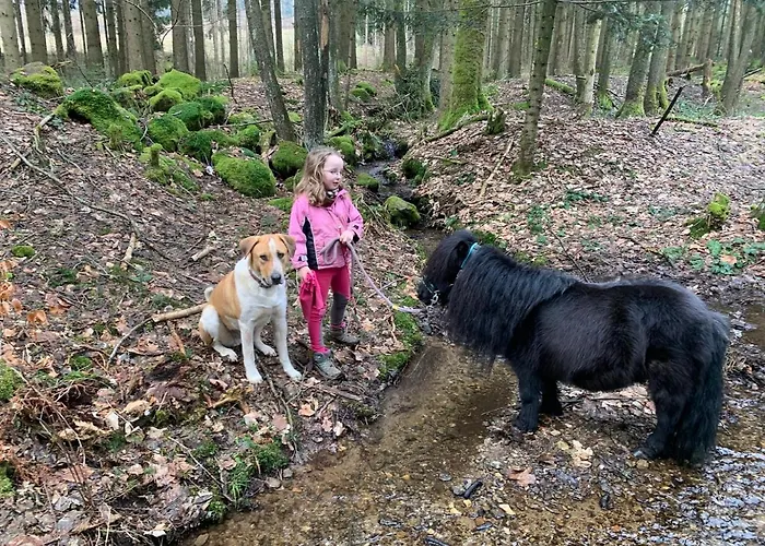 Sternhof *