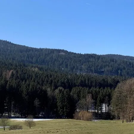 Sternhof Apartment