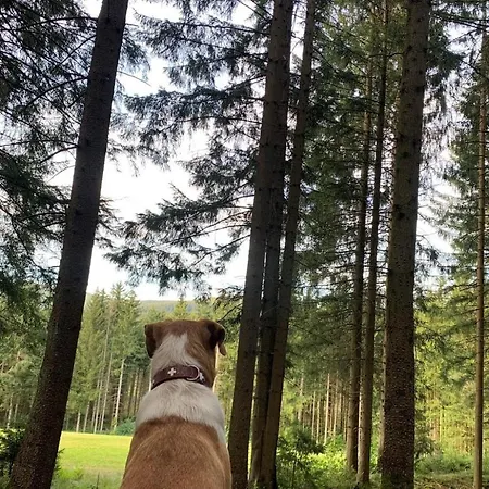 Sternhof Bodenmais