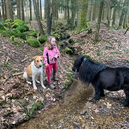 Sternhof *